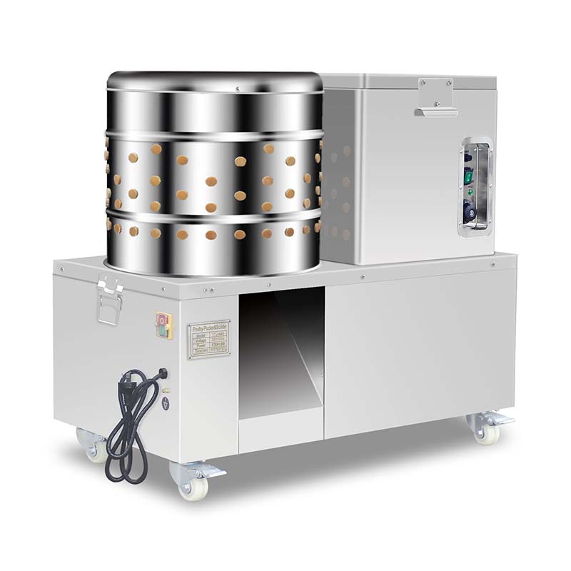 Escaldadora y desplumadora de pollos eléctrica de acero inoxidable para procesamiento de aves de corral