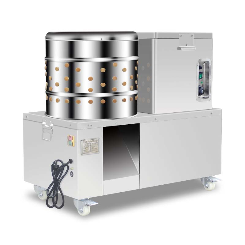 Escaldadora y desplumadora de pollos eléctrica de acero inoxidable para procesamiento de aves de corral