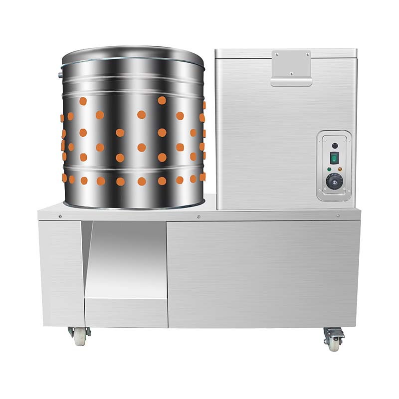 Escaldadora y desplumadora de pollos eléctrica de acero inoxidable para procesamiento de aves de corral