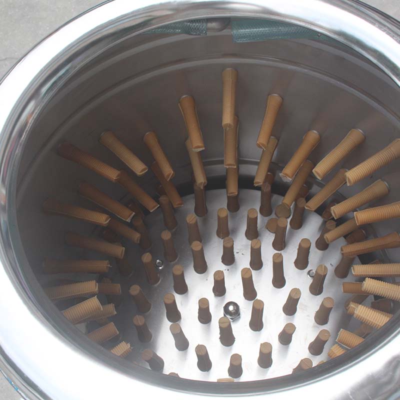 Desplumadora de pollos eléctrica de acero inoxidable para procesamiento de aves de corral